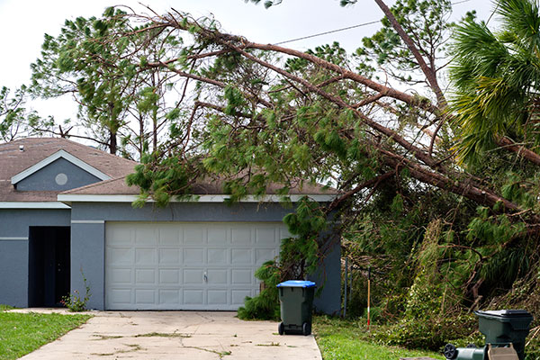 Storm Damage Cleanup Services