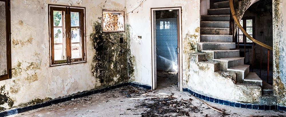 Mold in house