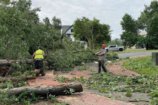 storm clean up